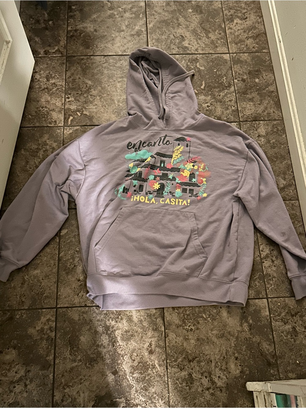 Disney’s Encanto Graphic Hoodie in Lavender Gray - Size XXL
